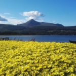 Brodick and Goatfell