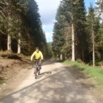 Robin mountain biking at Glentress