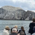 Bass Rock, Sula Boat Trips